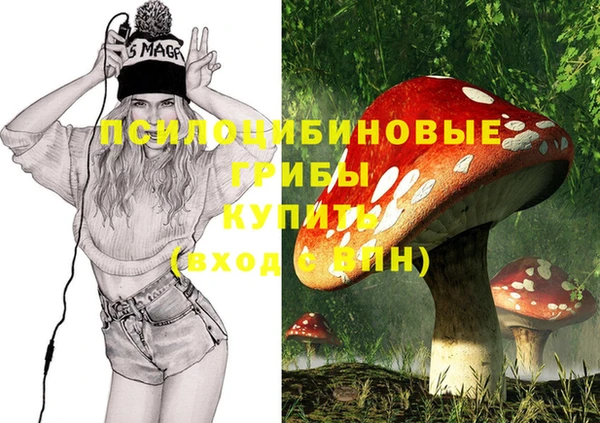 скорость Белокуриха