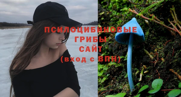 стафф Белоозёрский