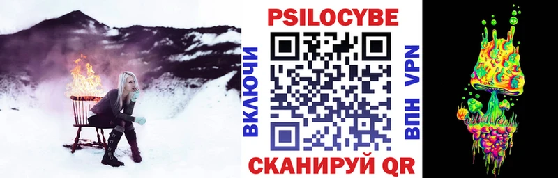 Купить закладки  Губкин  Псилоцибиновые грибы Psilocybine cubensis 